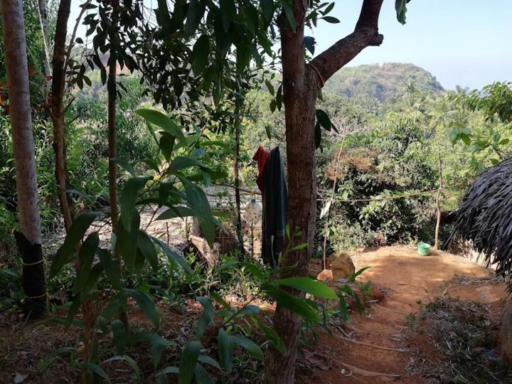 Apartamento Bindhya Huts Gokarna  Exterior foto